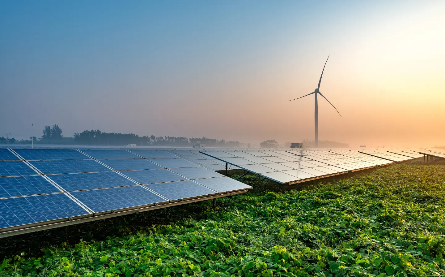 Solar panels and a wind turbine at sunrise